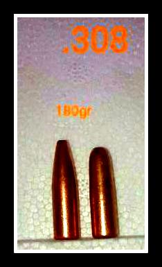 308 180gr SP & RN